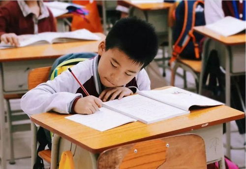 江蘇全面啟動(dòng)課后服務(wù)與家庭教育咨詢，為家長減負(fù)解憂