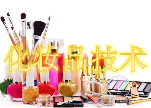化妝品技術 從科學與工藝看妝造之美